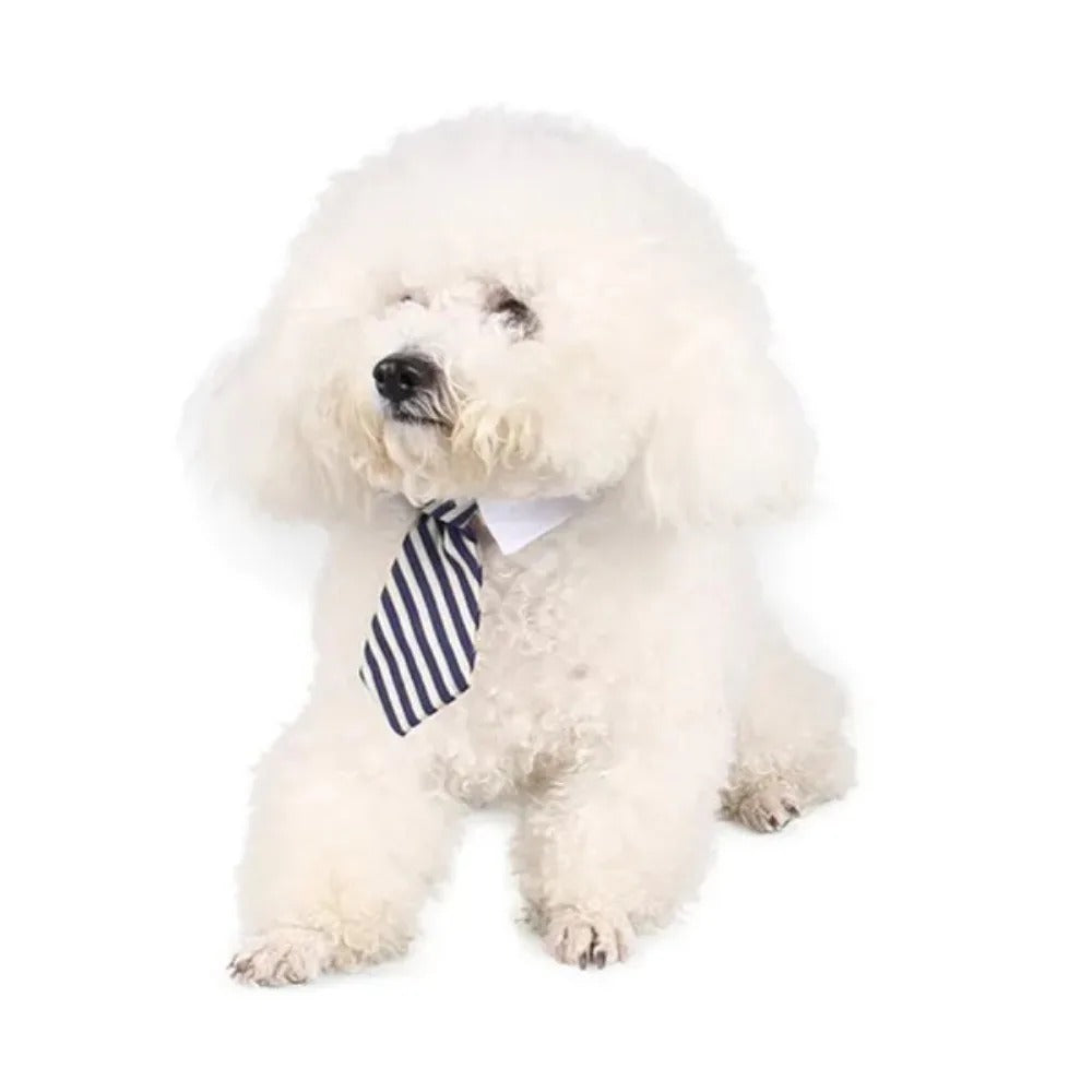 Adjustable Puppy Bow Tie Collar for Small Dogs & Cats