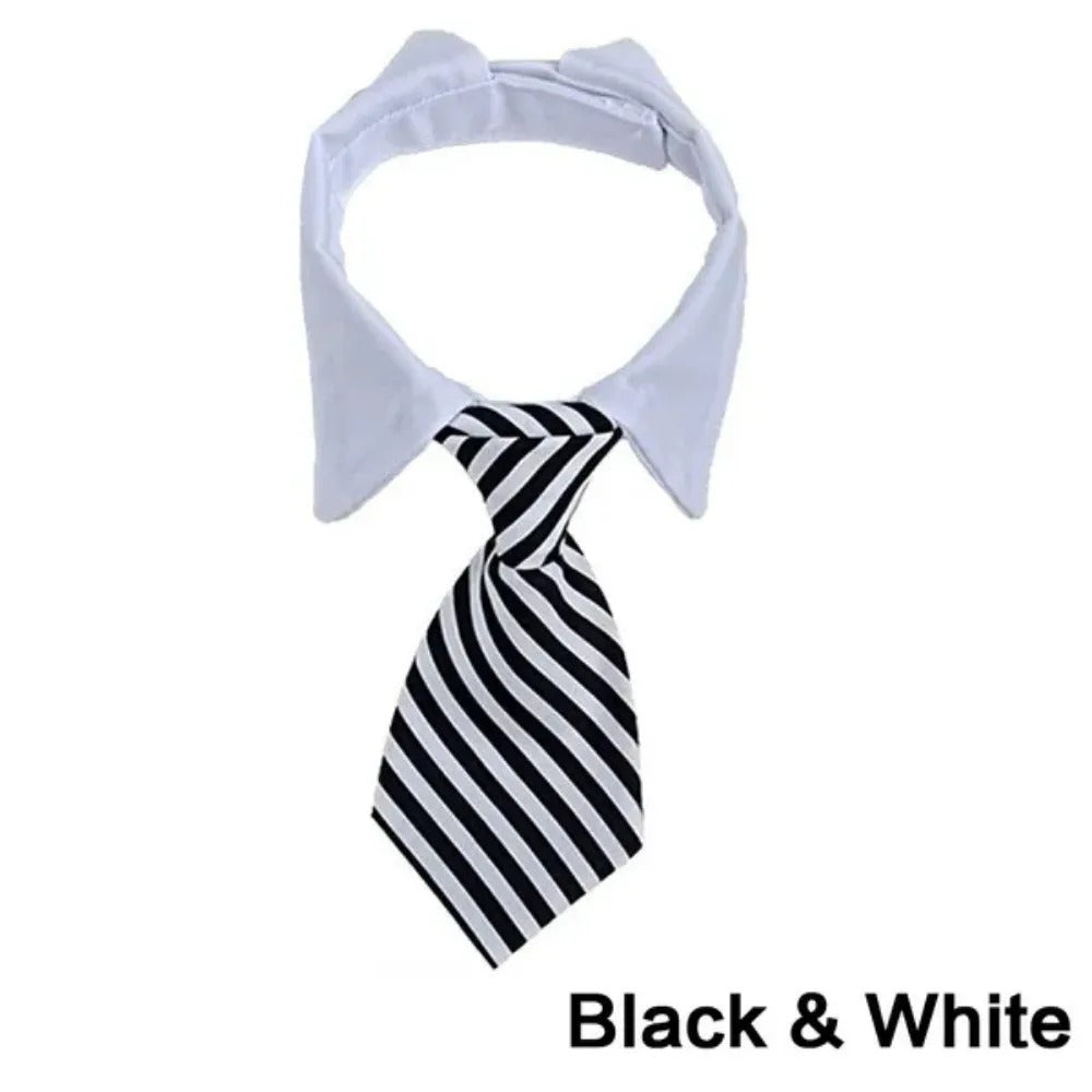 Adjustable Puppy Bow Tie Collar for Small Dogs & Cats