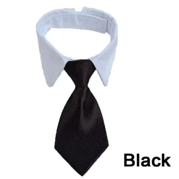 Adjustable Puppy Bow Tie Collar for Small Dogs & Cats